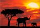 Khám phá Thiên đường hoang dã châu Phi cùng Kenya Airways